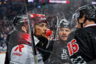 Koelner Haie - Schwenninger Wild Wings