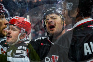 Koelner Haie - Schwenninger Wild Wings