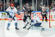 Koelner Haie - Schwenninger Wild Wings