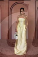 Celebs Attend Inaugural Franca Fund Gala - Doha