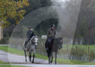 Andrew beim Ausritt druch den Park von Schloss Windsor