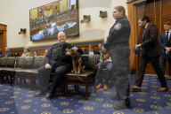 US Customs hero K-9 Freddie the Beagle attends US Judiciary Hearing