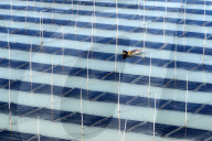 Seaweed Harvest in Fuzhou