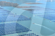 Seaweed Harvest in Fuzhou