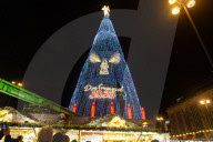 Largest Christmas Tree in Dortmund Lit Up