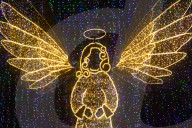 Largest Christmas Tree in Dortmund Lit Up