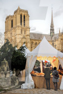 Illustration - Christmas in Paris