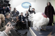 Donald Trump welcomes Christmas Tree - Washington