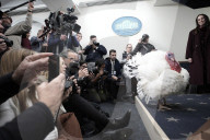 Donald Trump welcomes Christmas Tree - Washington