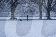 Snowfall In Copenhagen