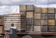 THE CANADIAN PRESS 2025-10-24