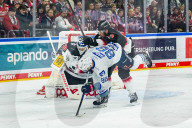 Koelner Haie - Adler Mannheim