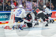 Koelner Haie - Adler Mannheim