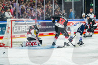 Koelner Haie - Adler Mannheim