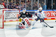 Koelner Haie - Adler Mannheim