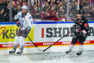 Koelner Haie - Adler Mannheim