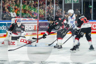 Koelner Haie - Adler Mannheim