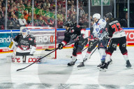 Koelner Haie - Adler Mannheim