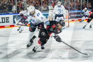 Koelner Haie - Adler Mannheim