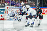 Koelner Haie - Adler Mannheim