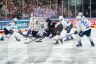 Koelner Haie - Adler Mannheim
