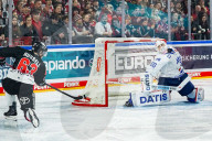 Koelner Haie - Adler Mannheim