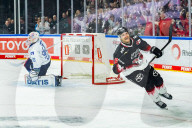 Koelner Haie - Adler Mannheim