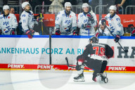 Koelner Haie - Adler Mannheim