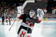 Koelner Haie - Adler Mannheim