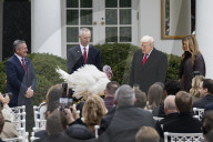 Trump pardons Thanksgiving turkey at the White House