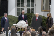 Trump pardons Thanksgiving turkey at the White House