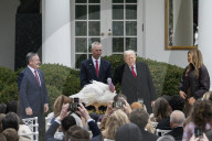 Trump pardons Thanksgiving turkey at the White House