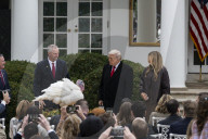 Trump pardons Thanksgiving turkey at the White House