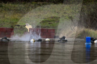 River Shadows 25 Military Exercise - Bitche