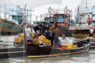 Despite Extreme Weather, Fishermen Still Catch Fish In Indonesia