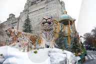 Macy's Parade- Inflated Balloons - New York