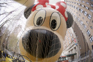 Macy's Parade- Inflated Balloons - New York