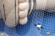 Macy's Parade- Inflated Balloons - New York