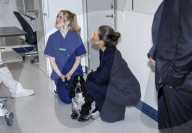 Royal at 250th Anniversary of Swedish Veterinary Medicine - Sweden