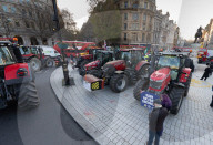 Politics and Westminster