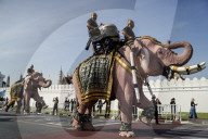 Elephants To Pay Respects Late Queen Mother Sirikit.