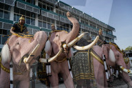 Elephants To Pay Respects Late Queen Mother Sirikit.