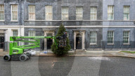Downing Street Christmas Tree Arrives