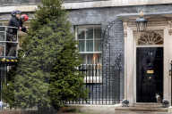 Downing Street Christmas Tree Arrives