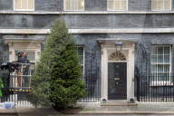 Downing Street Christmas Tree Arrives