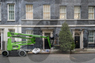 Downing Street Christmas Tree Arrives