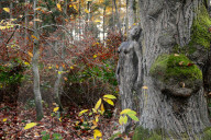 Bodypainting im herbstlichen Wald in Hameln