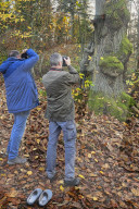 Bodypainting im herbstlichen Wald in Hameln
