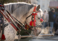 Daily Life In Krakow, Poland.