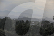 Batumi Botanical Garden